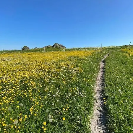Romslig Bolig- Idyllisk Og Sentralt Beliggende I Holiday home Svolvaer